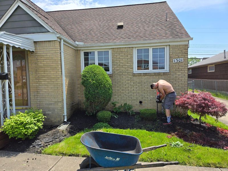 Shrub & Plant Installation Photos