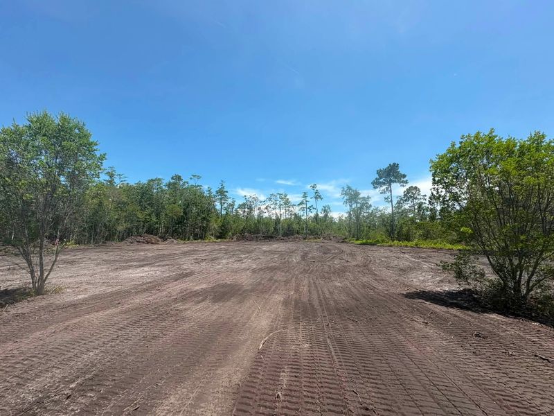 Land Clearing and Site Preparation