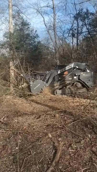 Land Clearing & Demolition