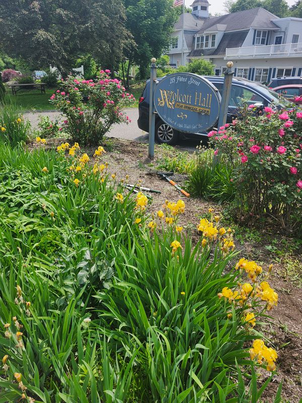 Muclhing & Weeding