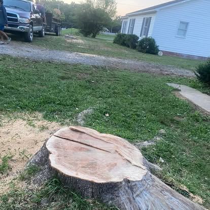 Stump Removal