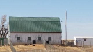 Metal Roofing