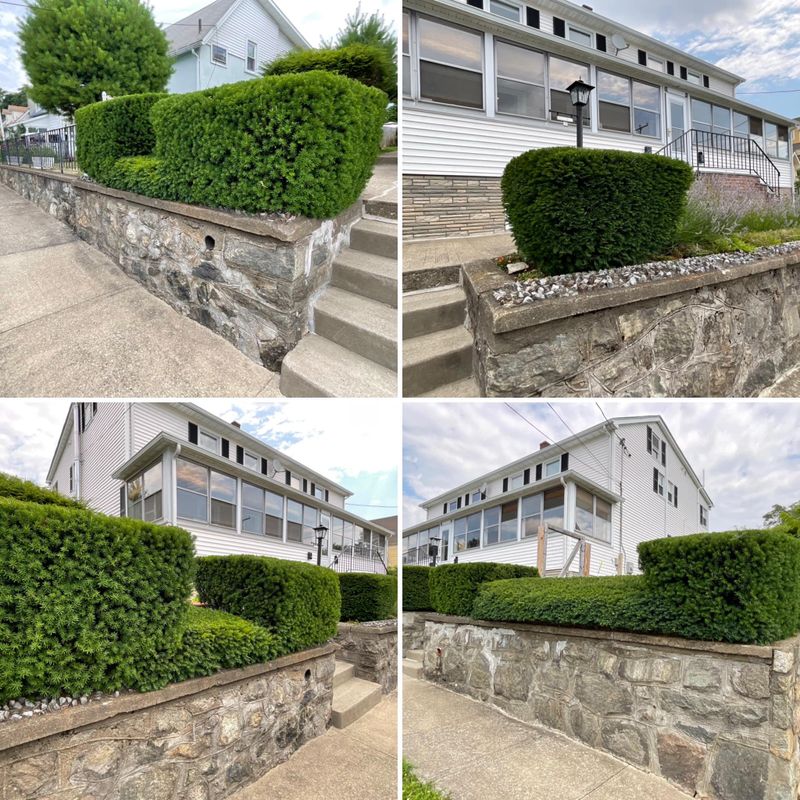 Landscaping