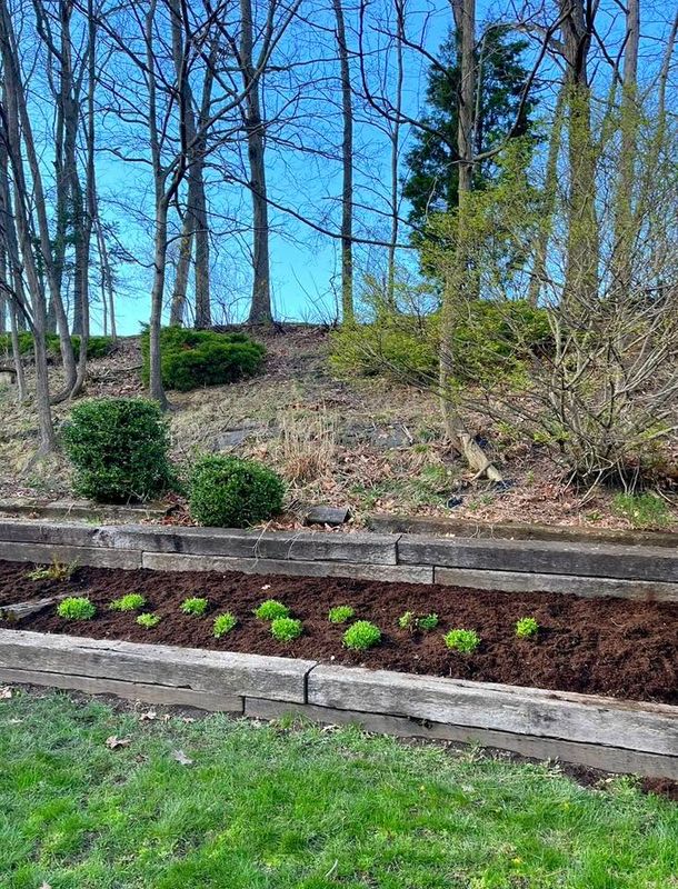 Retaining Walls