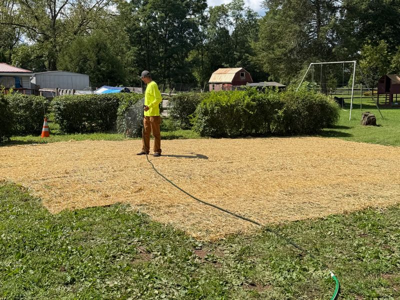 Sod Installation