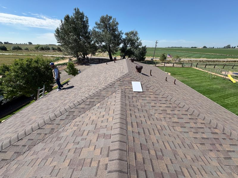 Roof Inspection