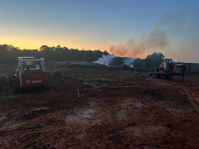 Land Clearing Photos