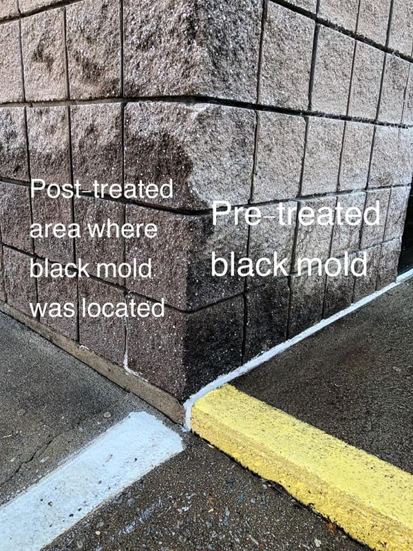 Pressure Washing