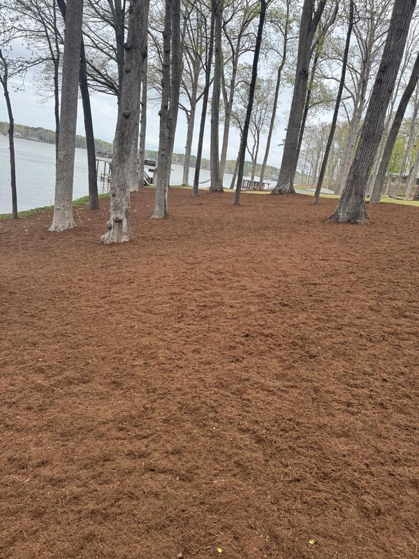 Mulch Installation
