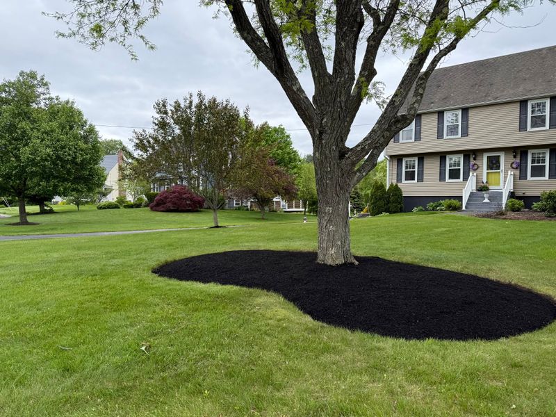 Landscaping