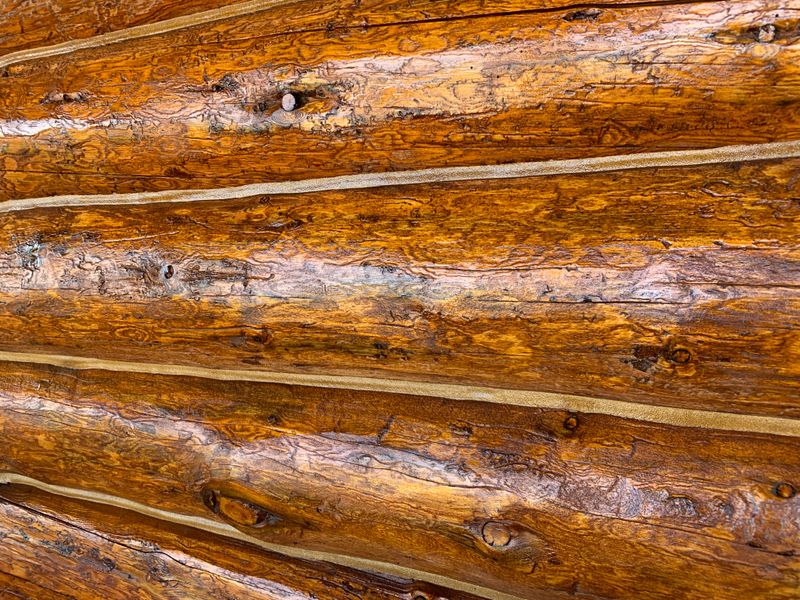 Log Home Staining in Montana