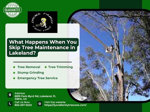 Tree Removal