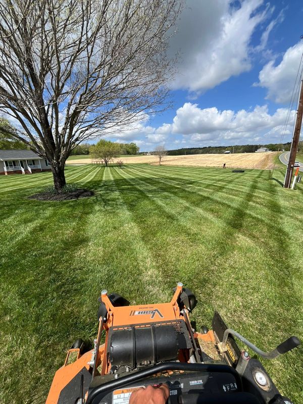 Garden Maintenance