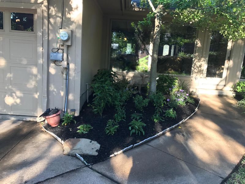 Mulch Installation