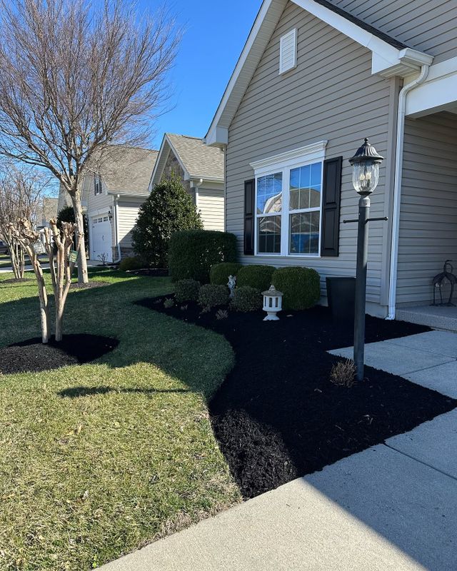 Landscape Design & Installation