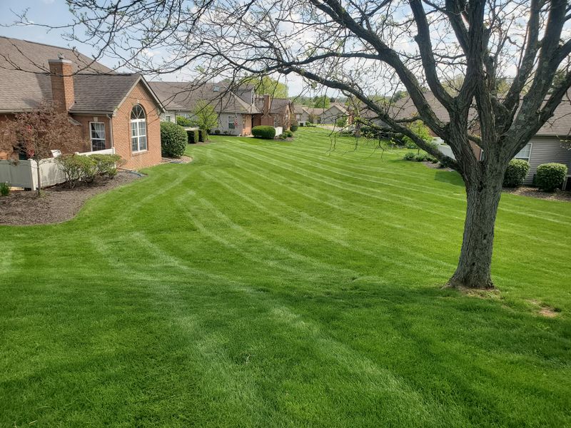 Lawn Mowing