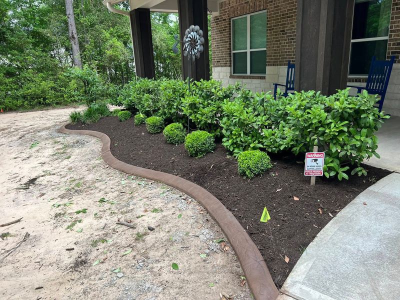 Tree and Shrub Care