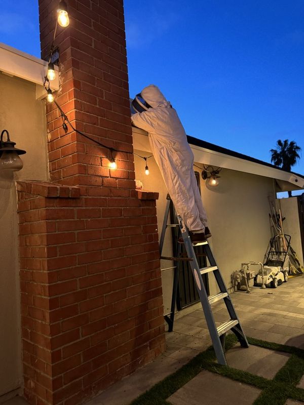 Residential Pest Control