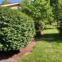 Lawn Care