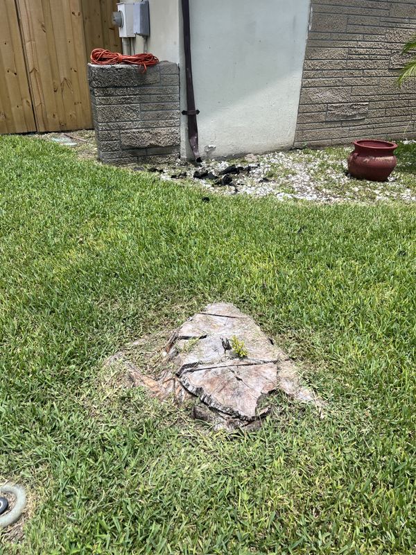 Stump Grinding