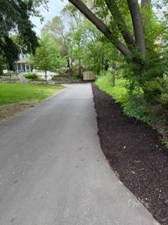 Lawn Care & Maintenance