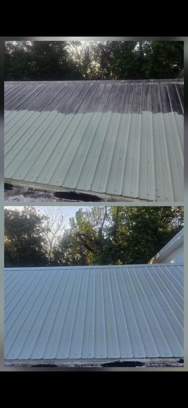 Roof Cleaning