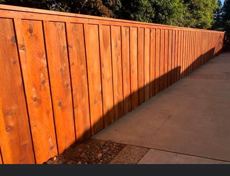 FENCE PICTURES