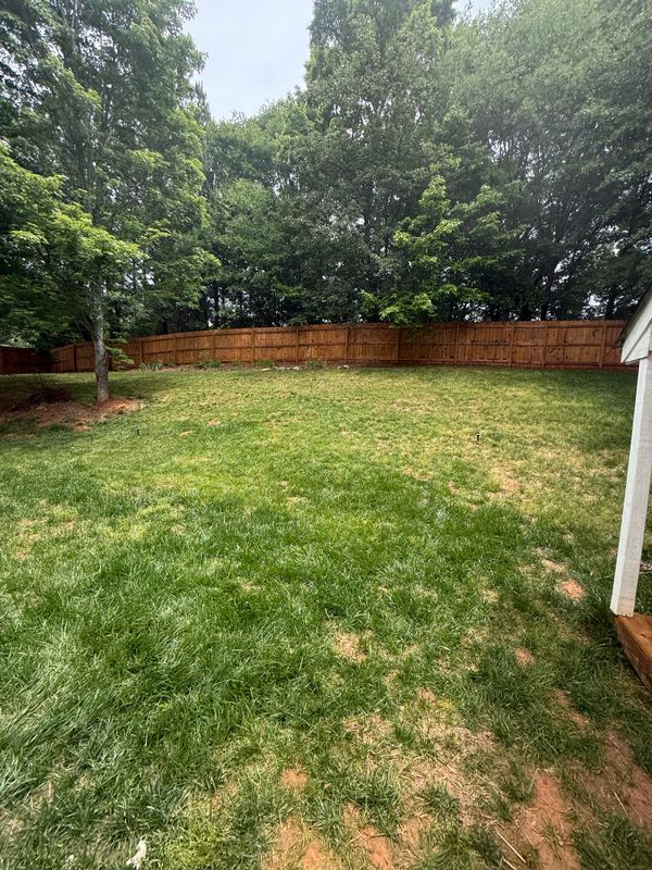 Deck & Fence Staining