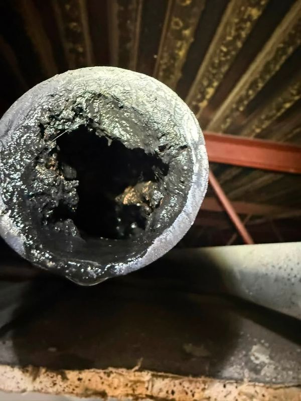 Sewer Line Repair