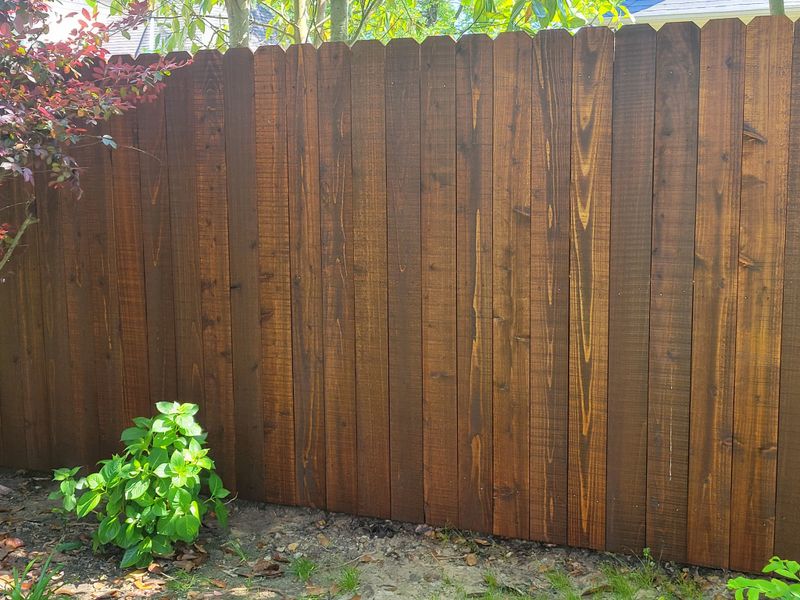Semi Transparent Staining