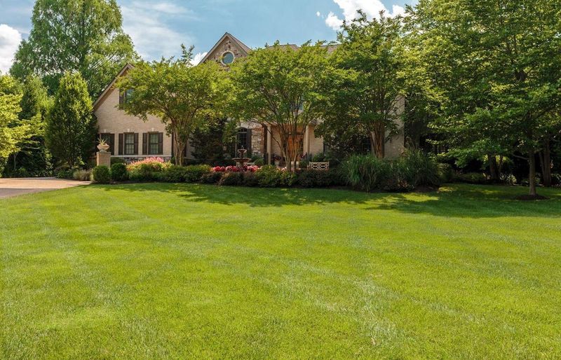 Lawn Care Maintenance