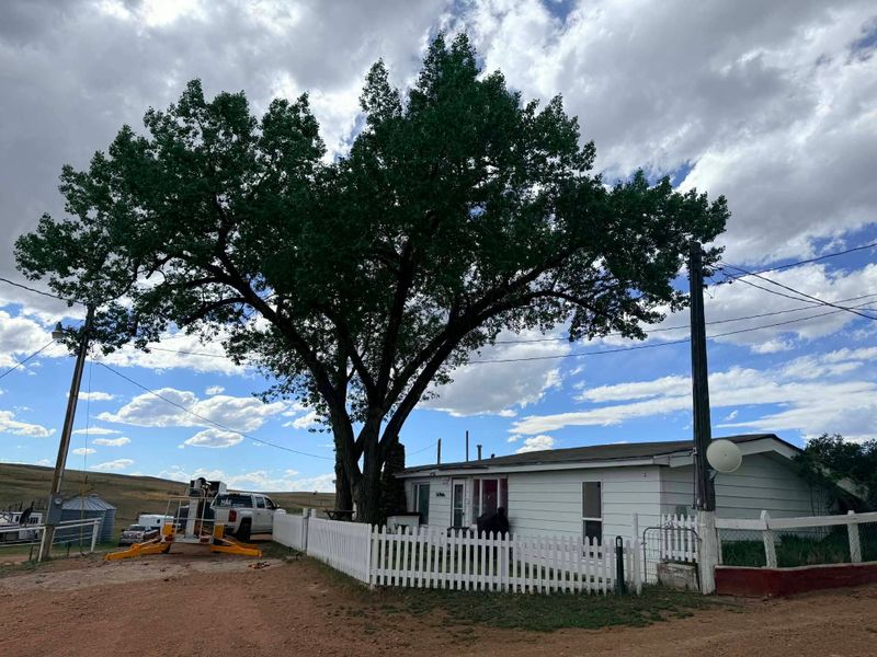Tree Pruning