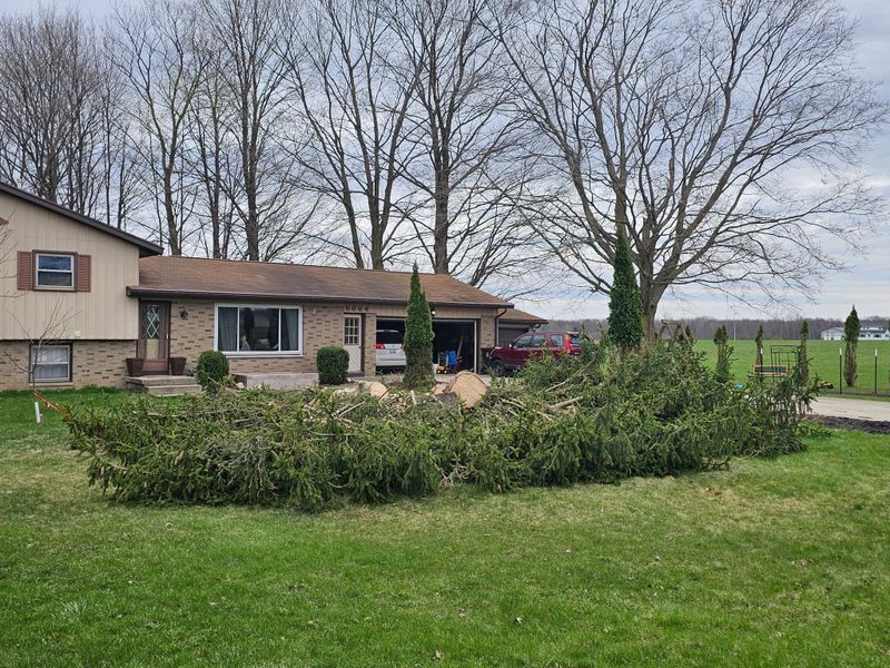 Tree Removal
