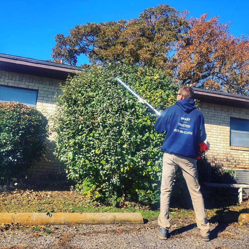 Other Lawn Services