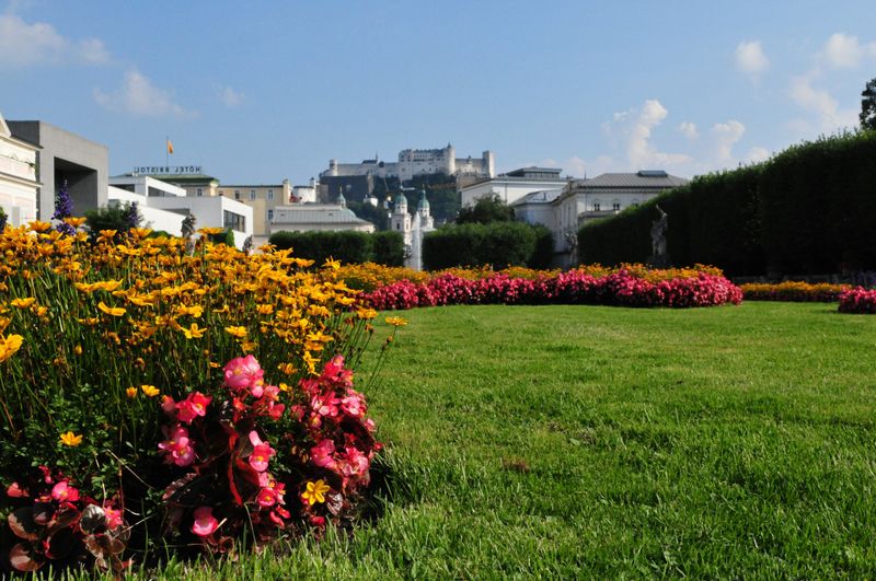 Landscape Design