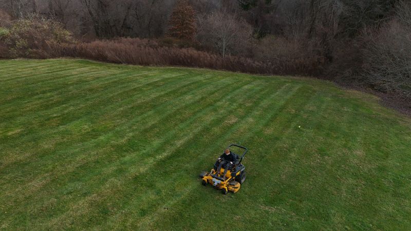 Spring & Fall Clean ups gallery