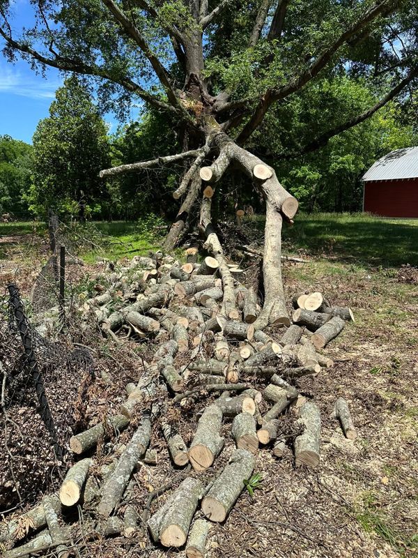 Emergency Tree Services