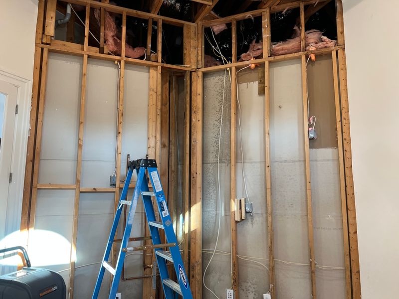 Mold Remediation