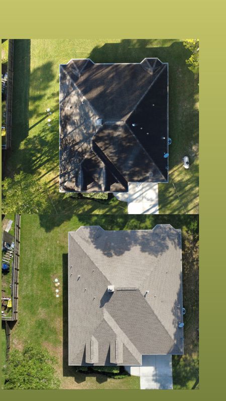 Roof SoftWashing