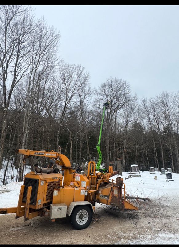 Stump Removal