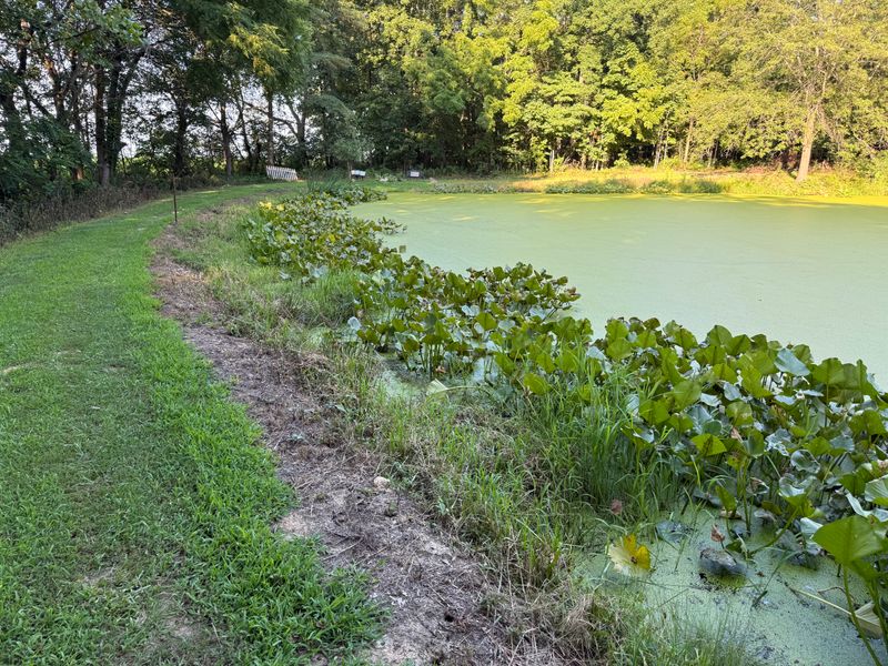 Building & Cleaning Ponds