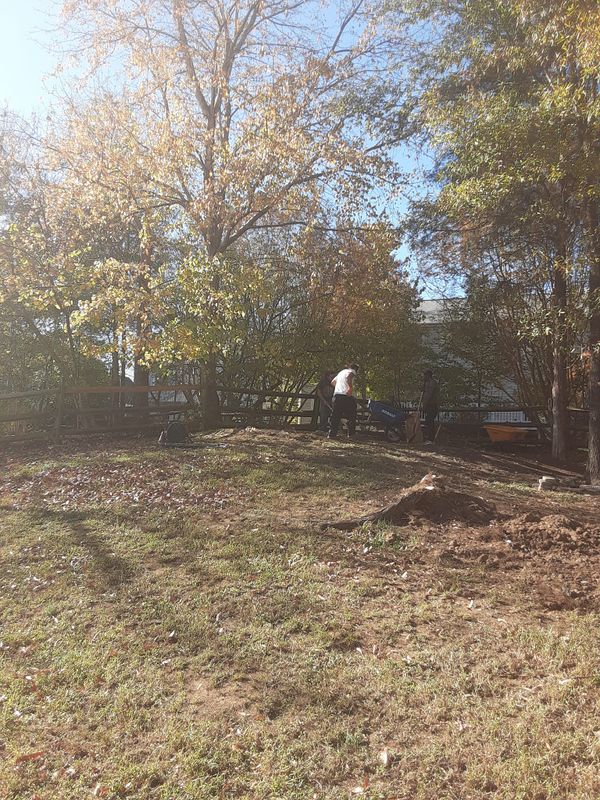 Fall Clean Up