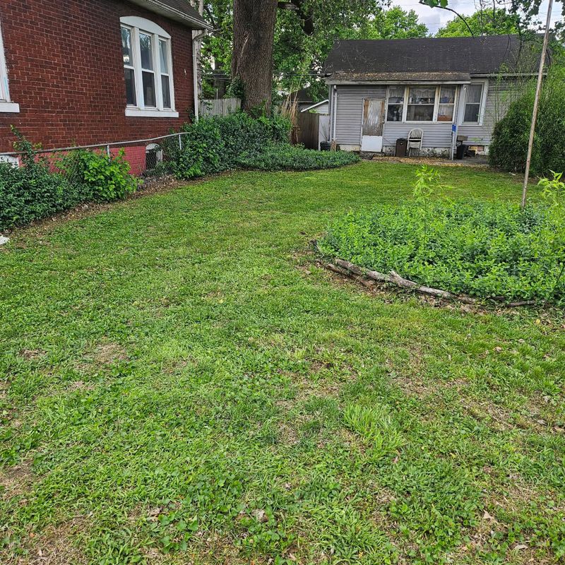 Residential Lawn Care