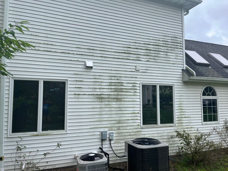 Pressure Washing