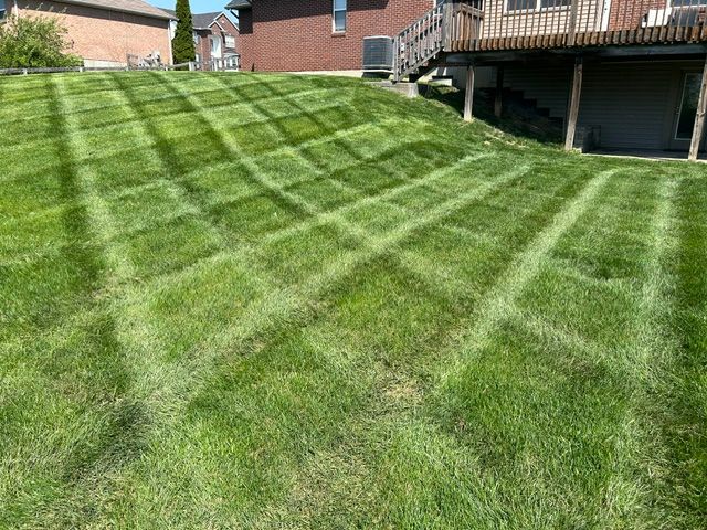 Our Mowing
