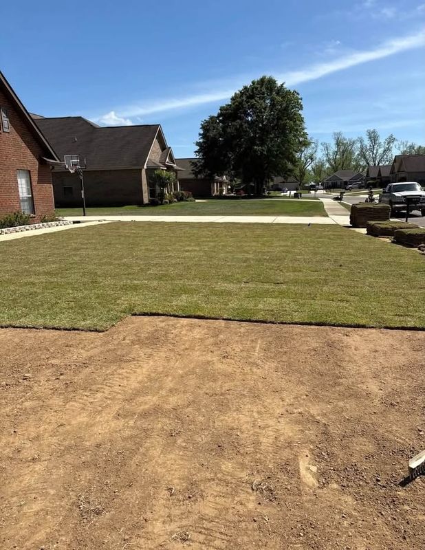 Sod Installation