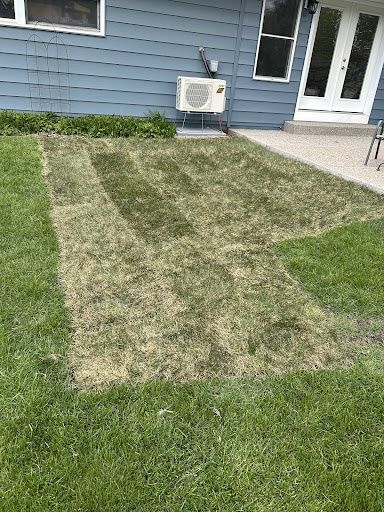Sod Replacement & Laying