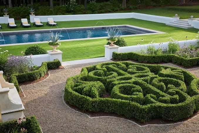 Shrub Trimming