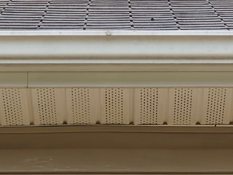 Gutter Clean/Gutter Guards
