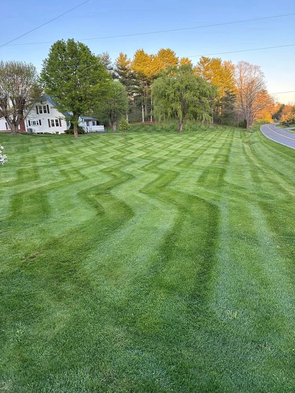 Lawn Mowing